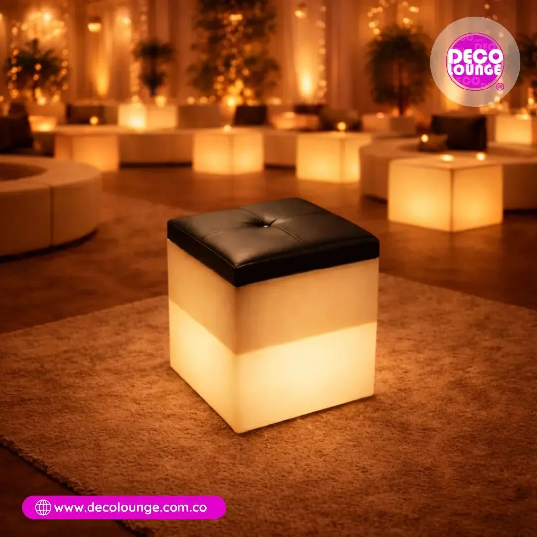 Puff con baúl LED